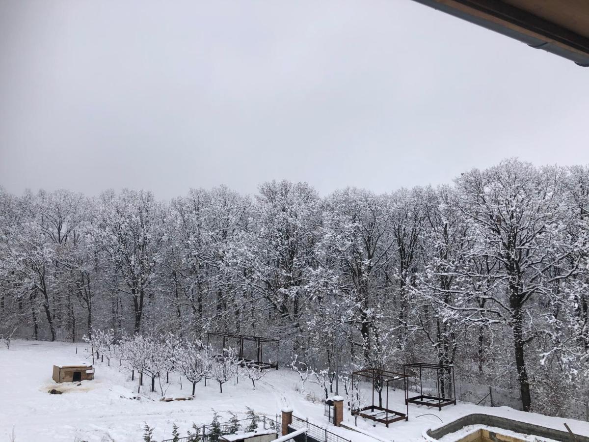 Marada Felix Hotel Hidişelul-de Sus Exterior foto